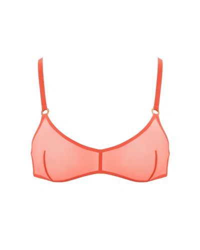 Bluebella Naomi Mesh Bralette Coral In Multi