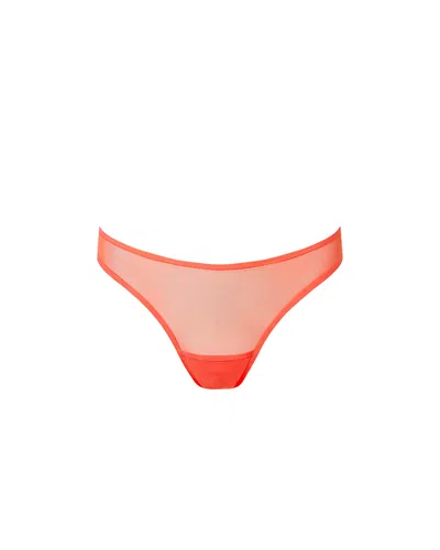 Bluebella Naomi Mesh Brief Coral In Orange