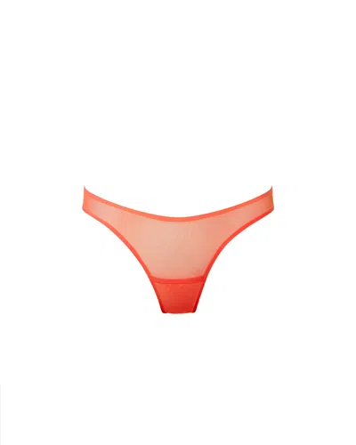 Bluebella Naomi Mesh Thong Coral In Red