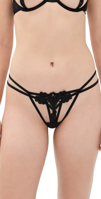 Bluebella Nova Thong Black
