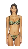 Bluebella Odette Bra In Green
