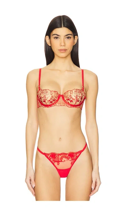BLUEBELLA ROSALIE BRA