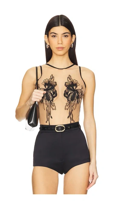 Bluebella Safiya Bodysuit In Black & Sheer