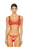 Bluebella Samara Underwire Bra In Red & Sheer
