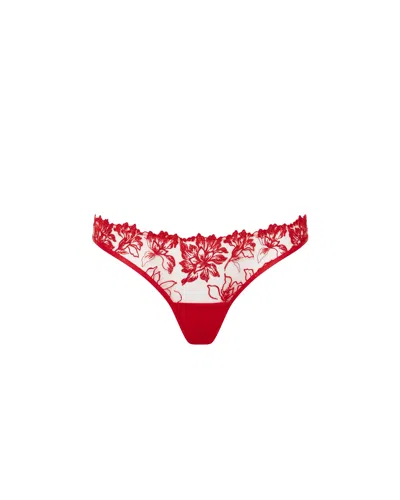 Bluebella Samara Embroidered Brief Red