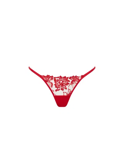 Bluebella Samara Embroidered Thong Red In Multi