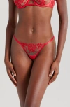 Bluebella Samara Thong In Red/sheer