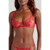 Bluebella Samara Underwire Bra In Red/sheer