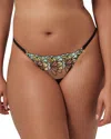 Bluebella Serena Embroidered Mesh Briefs In Mint/lemon
