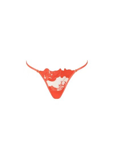 Bluebella Serenity Embroidered Thong Coral In Pink