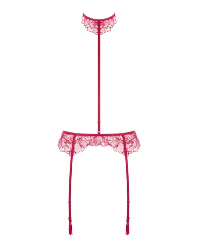Bluebella - Us Amarosa Suspender Harness With Detachable Collar Pink