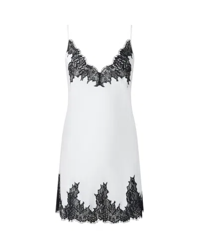 Bluebella - Us Anastasia Luxury Satin Chemise Ivory/black In Multi