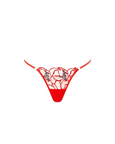 Bluebella - Us Bluebella Asha Sheer Floral Thong Red