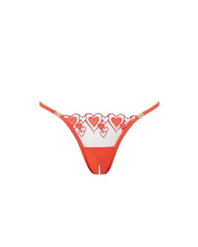 Bluebella - Us Bluebella Harlow Open Back Heart Panty Coral In Orange