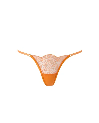 Bluebella - Us Bluebella Leliana Embroidered String Thong Orange Peel