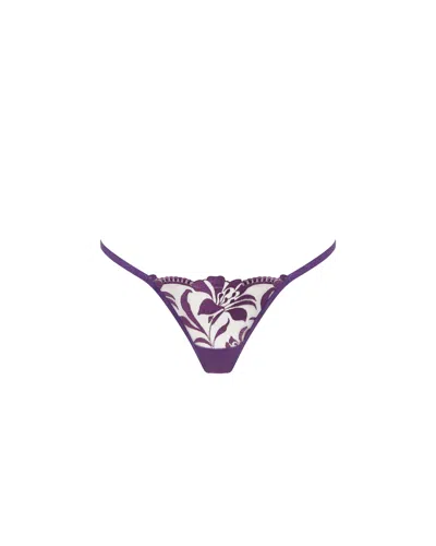 Bluebella - Us Bluebella Leonora Thong Acai Purple/sheer