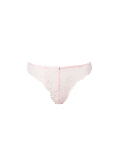 Bluebella - Us Bluebella Peyton Lace Thong Pink
