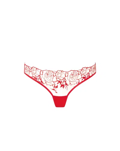 Bluebella - Us Bluebella Rosalie Sheer Panty Red