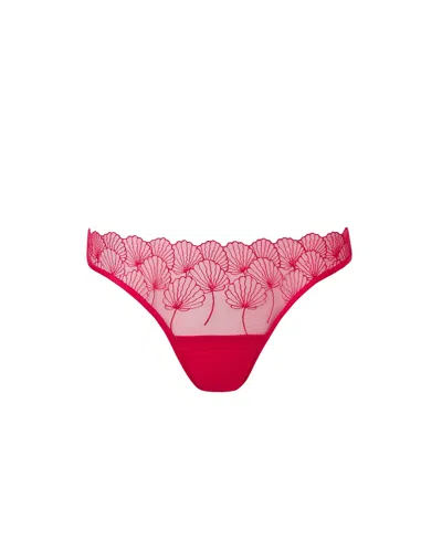 Bluebella - Us Bluebella Vermont Embroidered Sheer Panty Pink