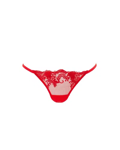 Bluebella - Us Bluebella Marseille Embroidered Sheer Thong Red In Brown
