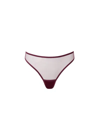 Bluebella - Us Naomi Mesh High-waist Thong Cherry In Burgundy
