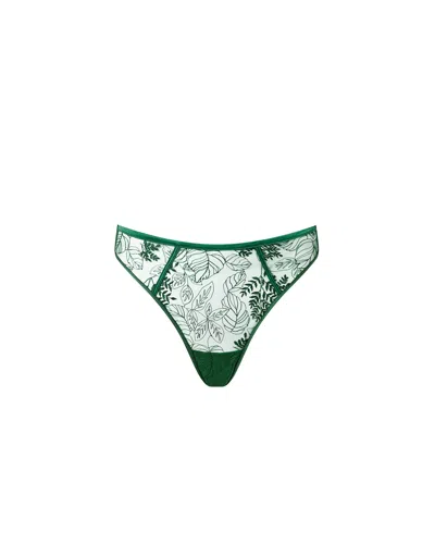 Bluebella - Us Seraphim Embroidered High-waisted Thong Black In Multi