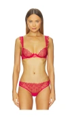 Bluebella Vermont Wired Bra In Pink