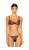 Bluebella Vivienne Underwire Bra In Fuchsia Pink  Red  & Black