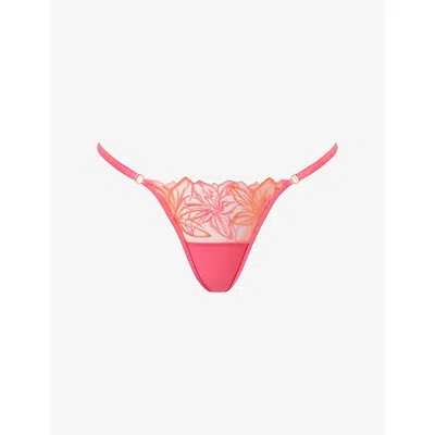 Bluebella Womens Pink Lemonade/cantaloupe Lilly Embroidered Lace Thong In Animal Print