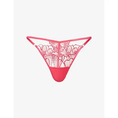 Bluebella Womens Virtual Pink/ Sheer Amarosa Embroidered Lace Thong