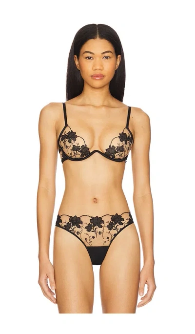 Bluebella Yvette Bra In Black