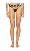 Bluebella Yvette Thong In Black & Sheer