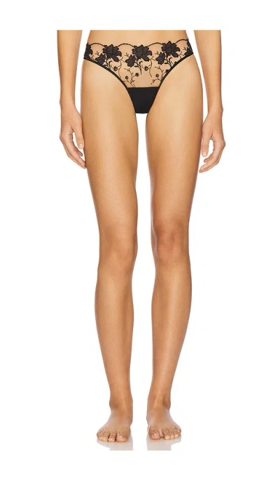 Bluebella Yvette Thong In Black & Sheer