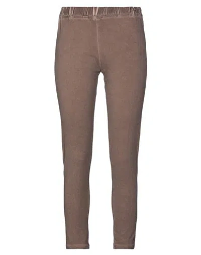Blueberry Italia Woman Pants Brown Size 8 Cotton, Elastic Fibres