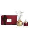 Blueme Joy Black Plum & Cassis Small Reed Diffuser In Multi