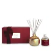 Blueme Noble Fir & Amber Small Reed Diffuser In Multi