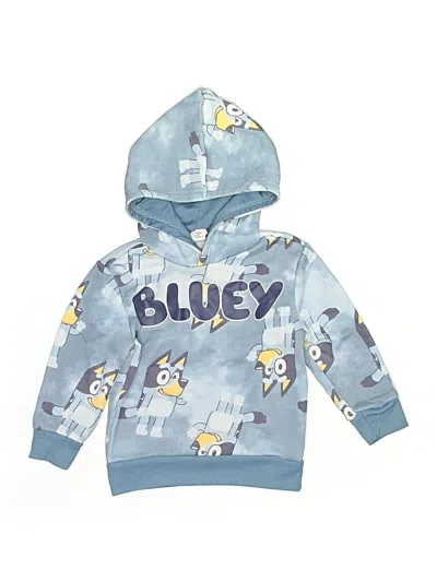 Pre-owned Bluey Kids' Pullover Hoodie In Blue