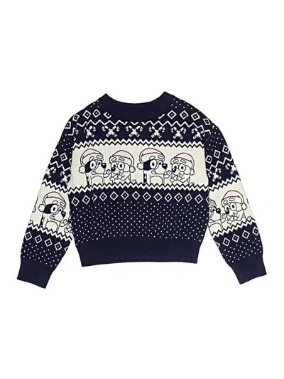 Pre-owned Bluey Kids' Pullover Sweater In Blue