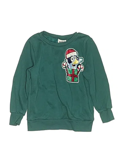Pre-owned Bluey Kids' Sweatshirt In Green