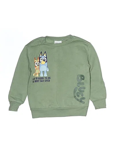 Pre-owned Bluey Kids' Sweatshirt In Green