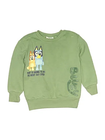 Pre-owned Bluey Kids' Sweatshirt In Green