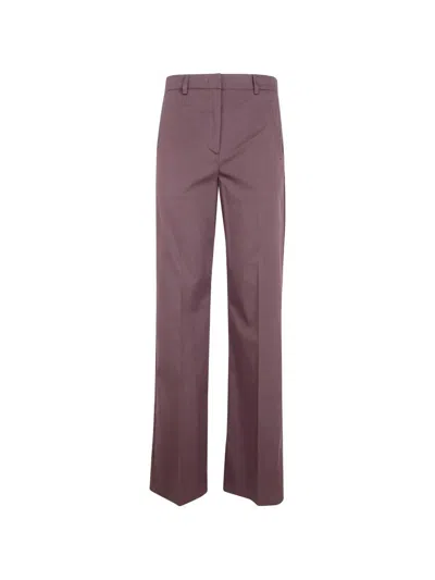 Blugirl Light Cotton Straight Fit Trousers In Brown