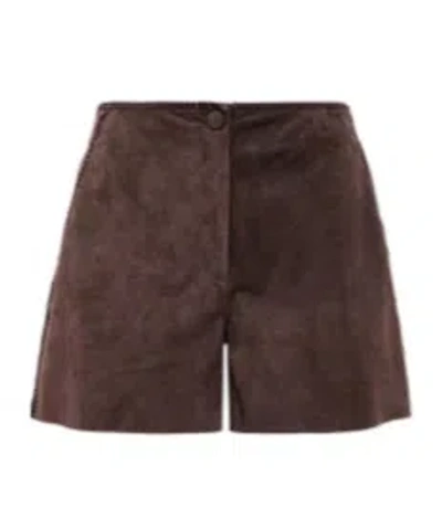 Blugirl Stitch Detail Shorts In Brown