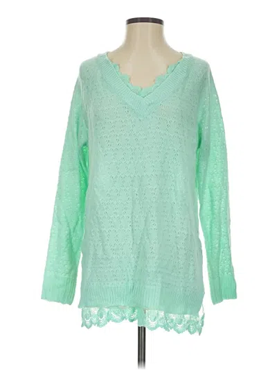 Pre-owned Bluheaven Pullover Sweater In Green