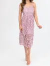Bluivy Evelyn Crochet Lace Midi Dress In Rose In Multi