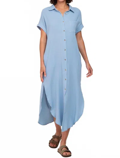 Bluivy The Willa Dress In Light Blue
