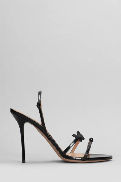 Blumarine Black Aura Heeled Sandals In Nappa Black