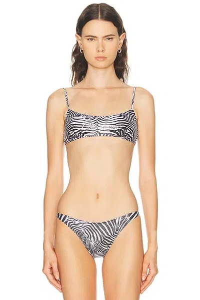 Blumarine Zebra-print Embellished Bikini Top In Multi