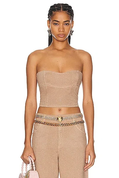 Blumarine Bustier Top With Rhinestones In Nuts