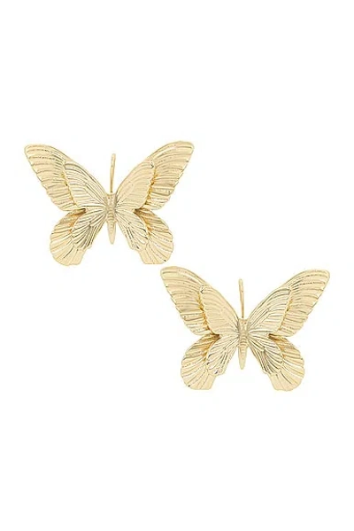 Blumarine Butterfly Earrings In Gold